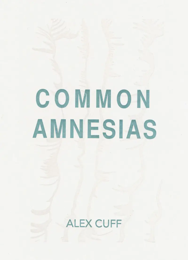 Common Forms Of Amnesia 1