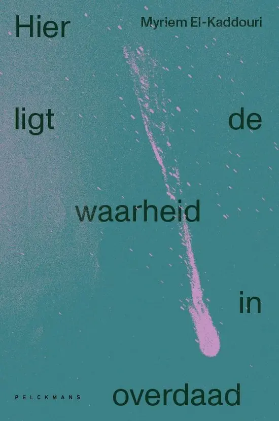 Hier Ligt De Waarheid In Overdaad: Poems On Truth, Excess, And Clarity 1