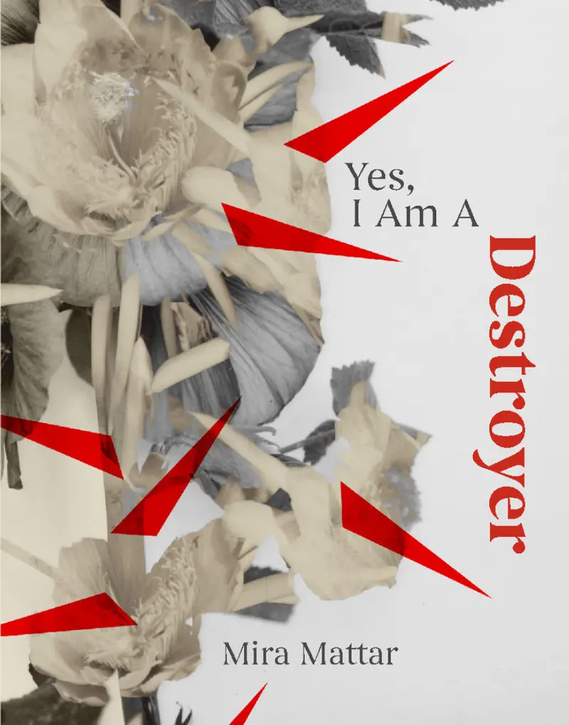 I Am A Destroyer 1