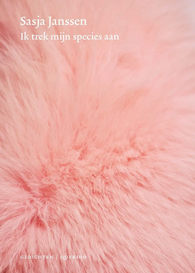 I Dress My Species: Dutch Experimental Poetry 1