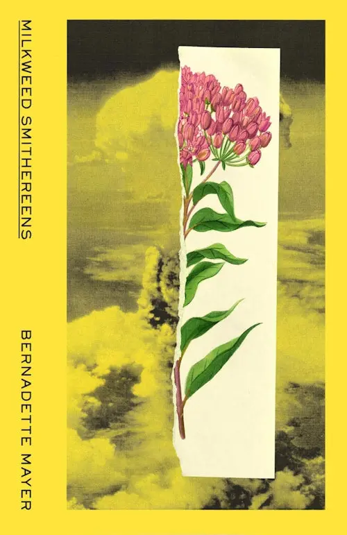 Milkweed Smithereens: Poems Of Fragility And Resilience 1