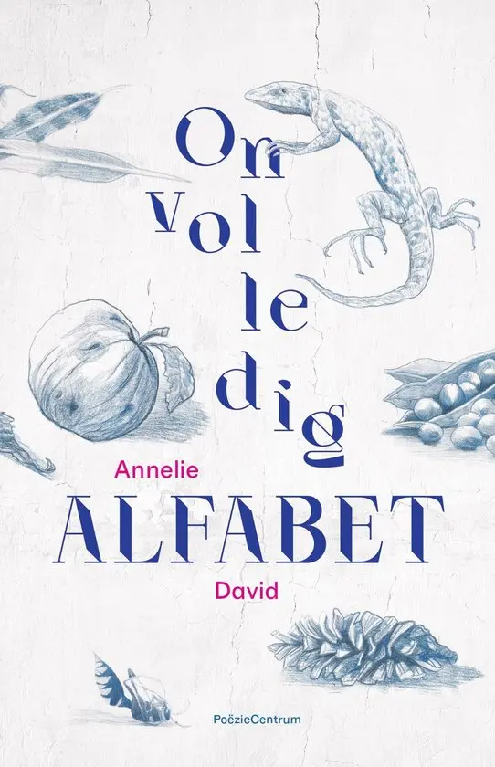 Onvolledig Alfabet: Fragmentary And Conceptual Poetry 1