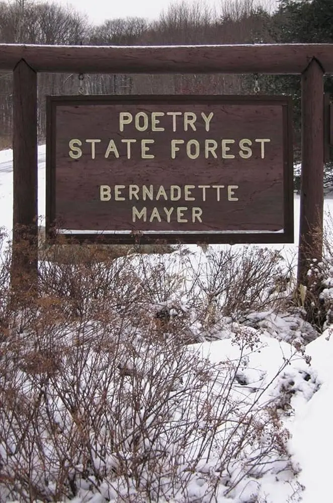 Poetry State Forest: A Wild, Expansive Collection 1