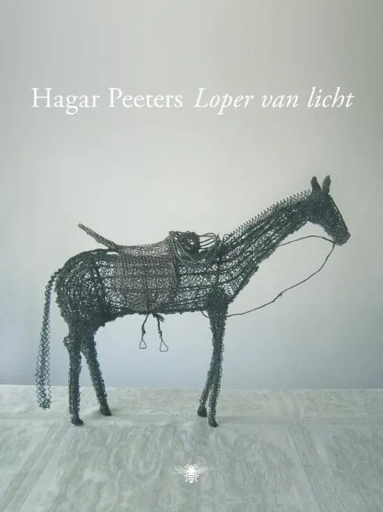 Runner Of Light 1