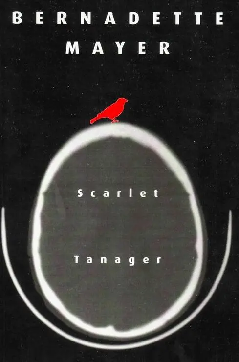 Scarlet Tanager: A Poetic Portrait 1