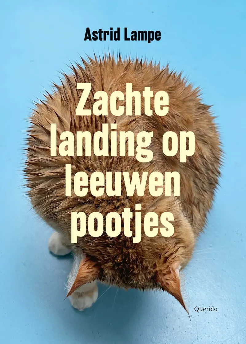 Soft Landing On Lion’S Paw: Dutch Poems Of Quiet Strength 1