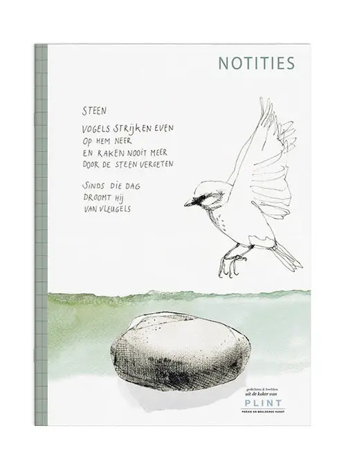 Steen’S Notebook: Observations And Notes 1