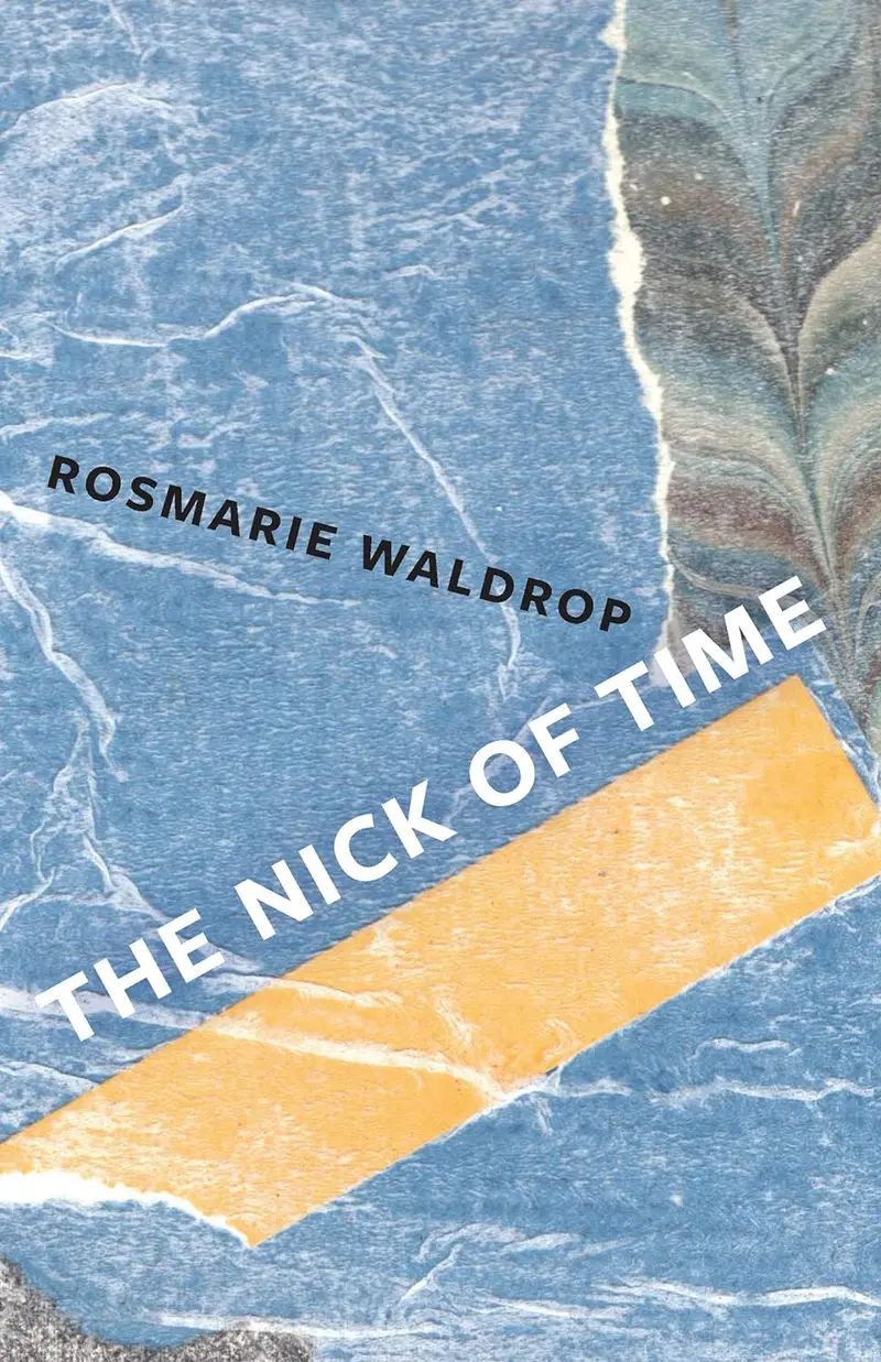 The Nick Of Time: Essays On Temporality 1