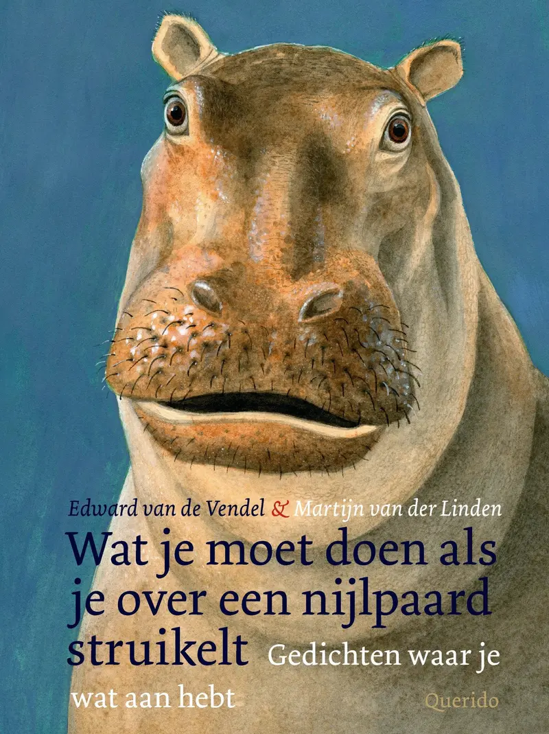 What To Do If You Trip Over A Hippopotamus 1